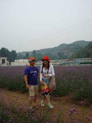 李琳最新爆料,揭秘娱乐圈惊人内幕!